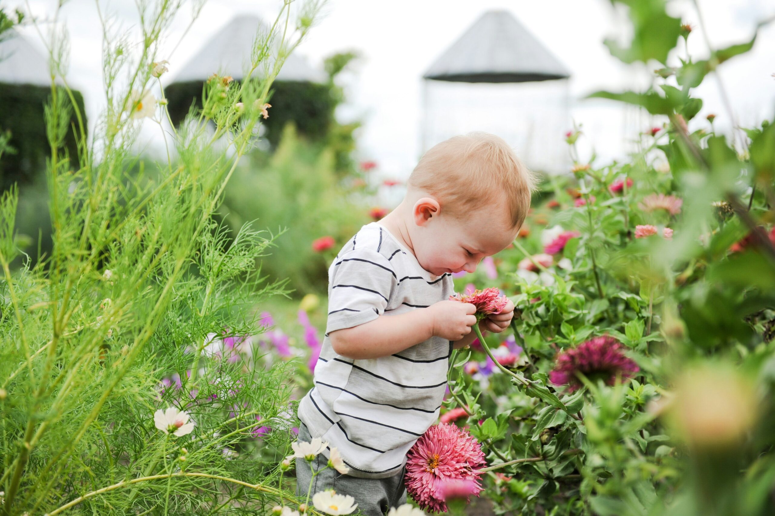 Read more about the article Creating a Sensory-Friendly Garden for Your Autistic Child